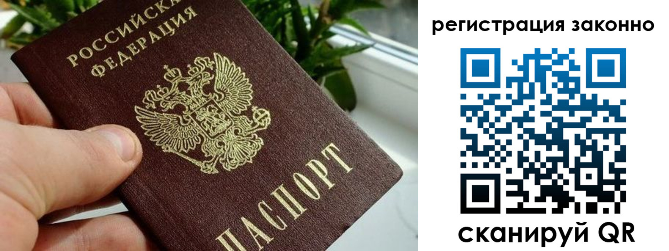 прописка гарантия в Севастополе